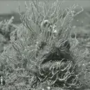 12inch Vinyl Single - Kastil & I-Real - Voodoo