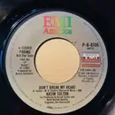 7inch Vinyl Single - Kasim Sulton - Don't Break My Heart