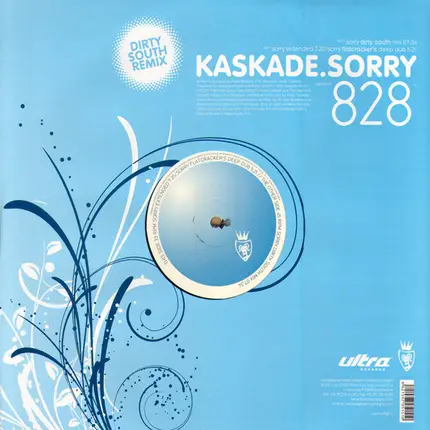 Kaskade - SORRY