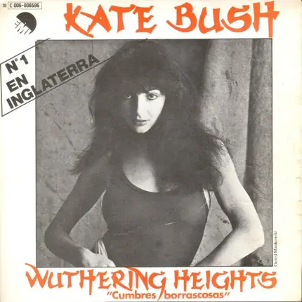 Kate Bush - Wuthering Heights (Cumbres Borrascosas)