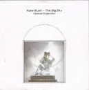 7inch Vinyl Single - Kate Bush - The Big Sky