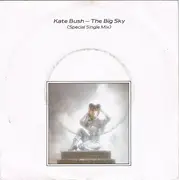 7inch Vinyl Single - Kate Bush - The Big Sky
