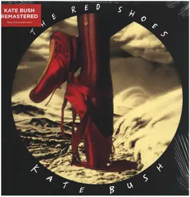 Kate Bush - The Red Shoes