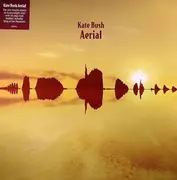 Double LP - Kate Bush - Aerial - 1st press, 180g, booklet