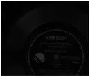 7inch Vinyl Single - Kate Bush - Some Edited Highlights From Her New Album 'Never For Ever' - FLEXI