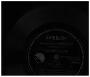Kate Bush - Some Edited Highlights From Her New Album 'Never For Ever'