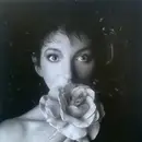 LP-Box - Kate Bush - Remastered In Vinyl II - 180g