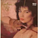 12inch Vinyl Single - Kate Bush - Running Up That Hill