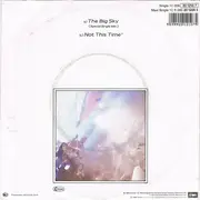 7inch Vinyl Single - Kate Bush - The Big Sky