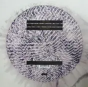 KATE SIMKO - SHE SAID EP