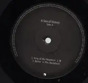 Double LP - Kate Bush - Aerial
