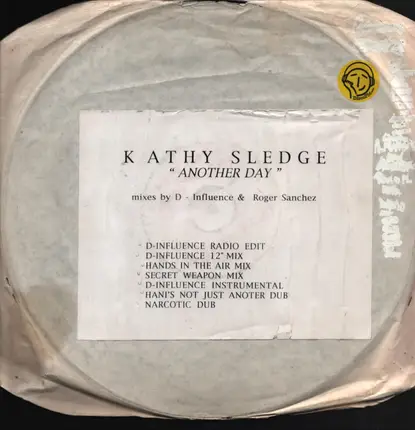 Kathy Sledge - Another Day