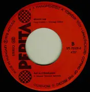 7inch Vinyl Single - Kati És A Kerek Perec - Hinta / Jókedvű Nap