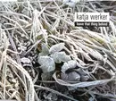 CD - Katja Werker - Leave That Thing Behind