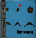 LP - Kazumi Band - Ganaesia - Blue Sleeve (C)
