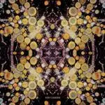 Ken Camden - Lethargy & Repercussion