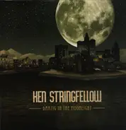 Ken Stringfellow - Danzig in the Moonlight