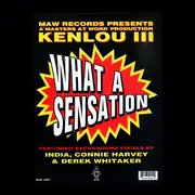 12inch Vinyl Single - Kenlou - What A Sensation
