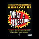 12inch Vinyl Single - Kenlou - What A Sensation