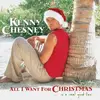 LP - Kenny Chesney - All I Want For Christmas Is A Real Good Tan - Reissue