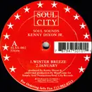 12inch Vinyl Single - Kenny Dixon Jr. - Soul Sounds