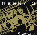 12inch Vinyl Single - Kenny G - Songbird