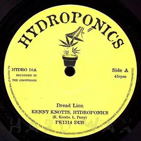 Kenny Knots - Dread Lion / Jah Sunshine Thru