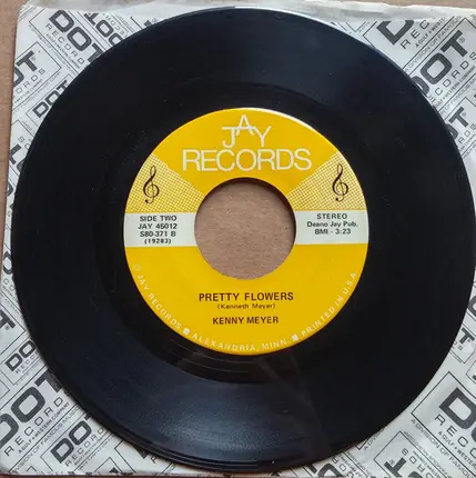 Kenny Meyer - Good Old Minnesota / Pretty Flowers