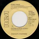 7inch Vinyl Single - Kenny Price - Too Big A Price To Pay