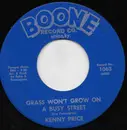 7inch Vinyl Single - Kenny Price - Grass Won't Grow On A Busy Street