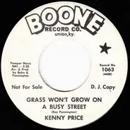 Kenny Price - Grass Won't Grow On A Busy Street