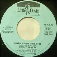 Kenny Rankin - When Sunny Gets Blue / I Love You