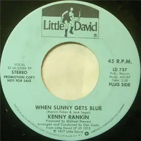 Kenny Rankin - When Sunny Gets Blue / I Love You