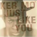 Double CD - Keb' Mo' - Just Like You