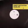 12inch Vinyl Single - Keep The Change - Sublime