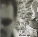 Double CD - Keith James - A Few Small Grains 1981-2006