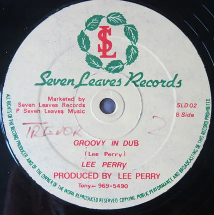 Keith Rowe - Groovy Situation