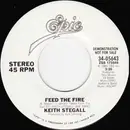 7inch Vinyl Single - Keith Stegall - Feed The Fire