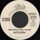 7inch Vinyl Single - Keith Stegall - Whatever Turns You On