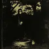 LP - Keiji Haino - Watashi Dake?