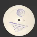 12inch Vinyl Single - Kerrie - We Continue Part 2