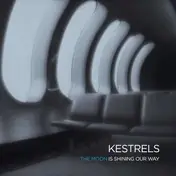 KESTRELS - Moon Is Shining..