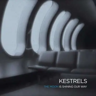 Kestrels - Moon Is Shining..