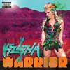 Double LP - Ke$ha - Warrior - expanded Edition/ Extended Edition