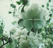 CD - Kettel - Volleyed Iron - Digipak