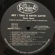 LP - Kevin Gavin - Hey! This Is Kevin Gavin - Mono