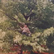 LP - Kevin Morby - More Photographs (a Continuum)