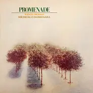 Kevin Burke & Mícheál Ó Domhnaill - Promenade