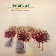 Kevin Burke & Mícheál Ó Domhnaill - Promenade