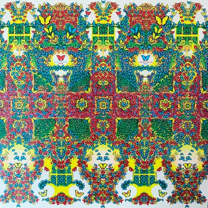 King Gizzard And The Lizard Wizard - Schmetterling 3000